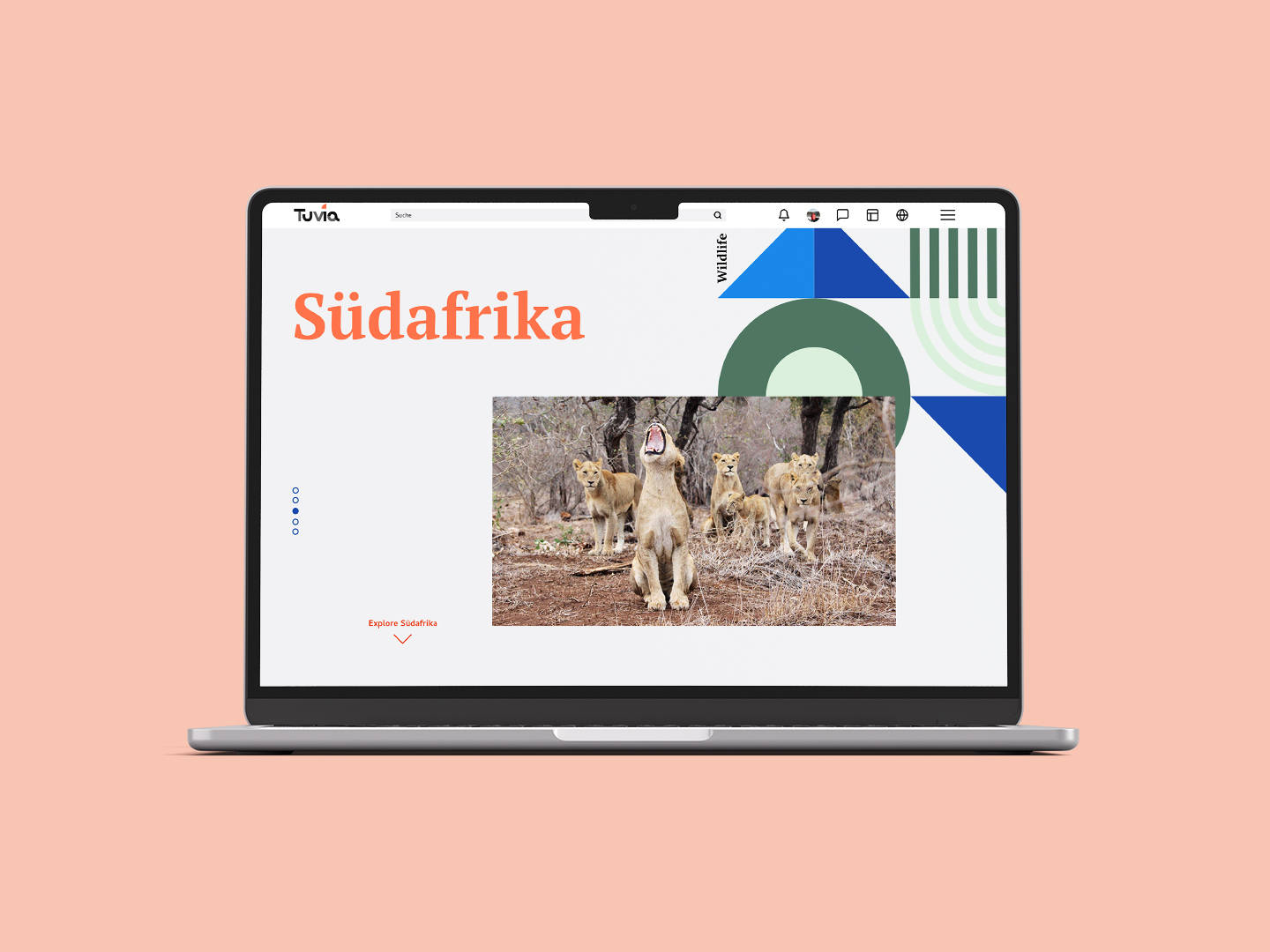 Macbook showing a screen about south africa